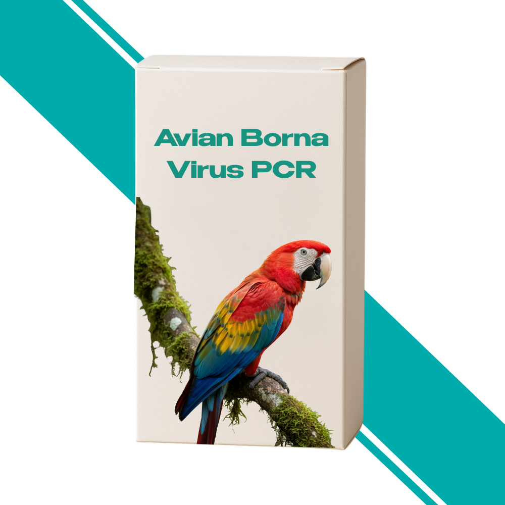 Avian Borna Virus PCR